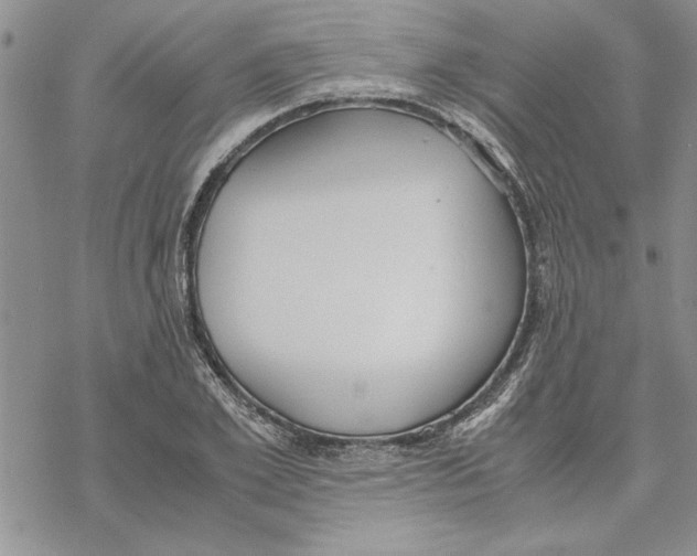 X0000069390981200606021627