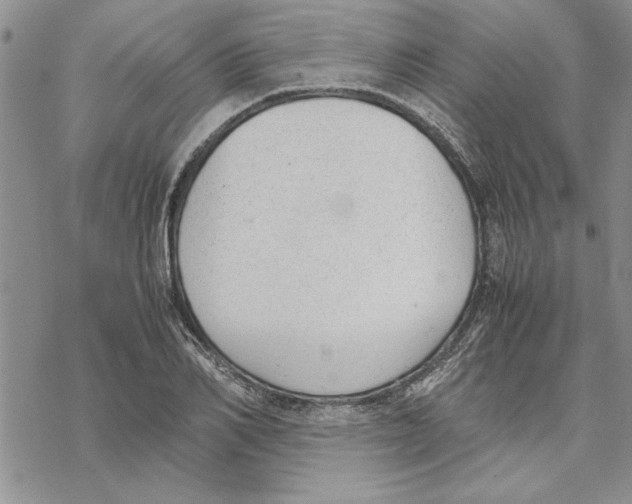 X0000069390982200606021627