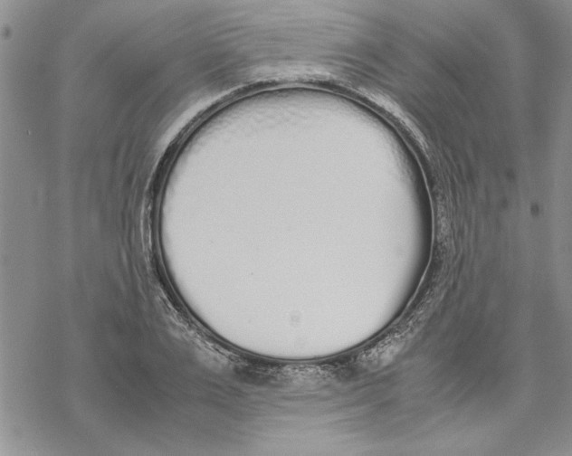 X0000069390983200606021627