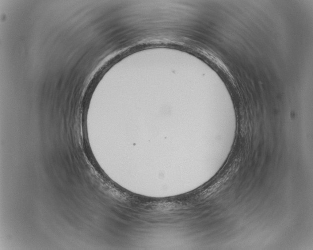 X0000069390984200606021627