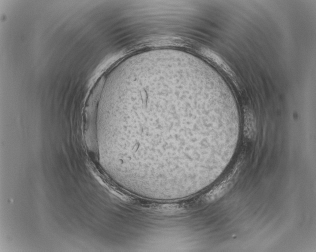 X0000069390986200606021627