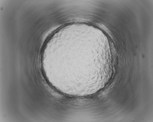 X0000069390987200606021627