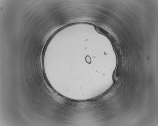 X0000069390988200606021627