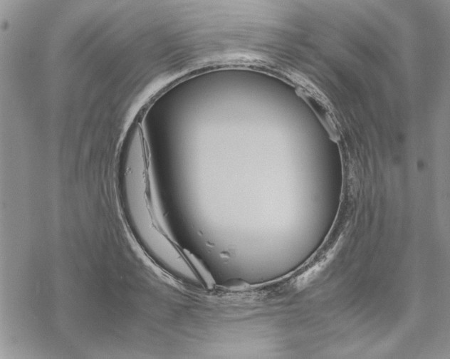 X0000069390989200606021627