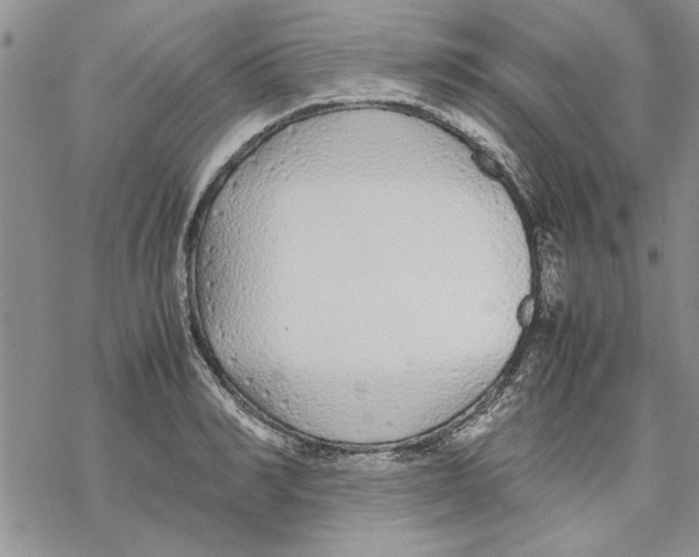 X0000069390990200606021627