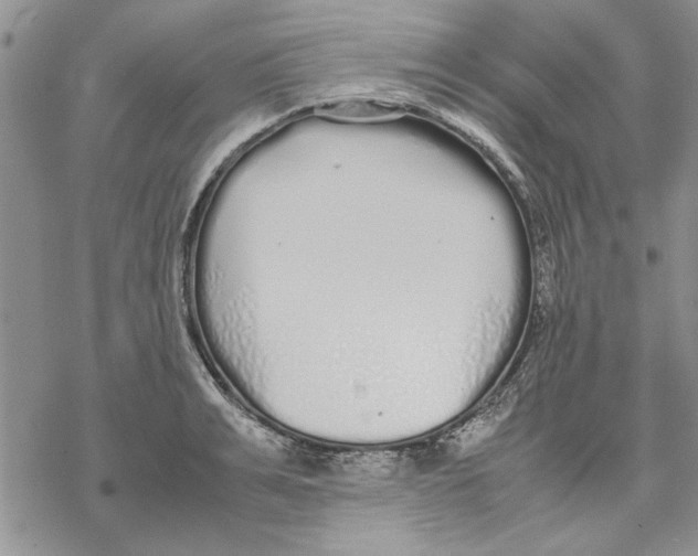 X0000069390991200606021627