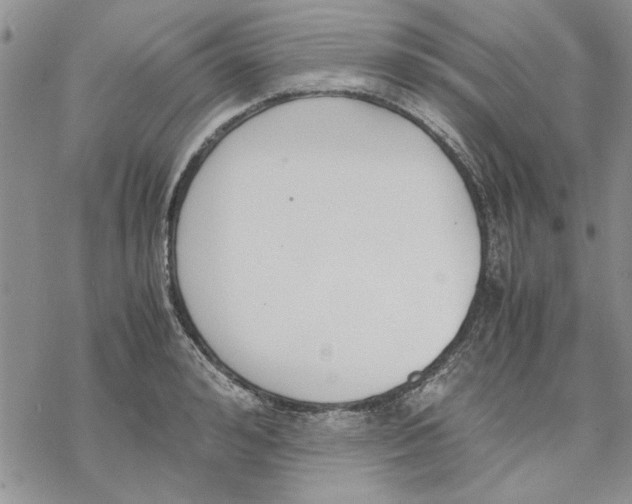 X0000069390992200606021627