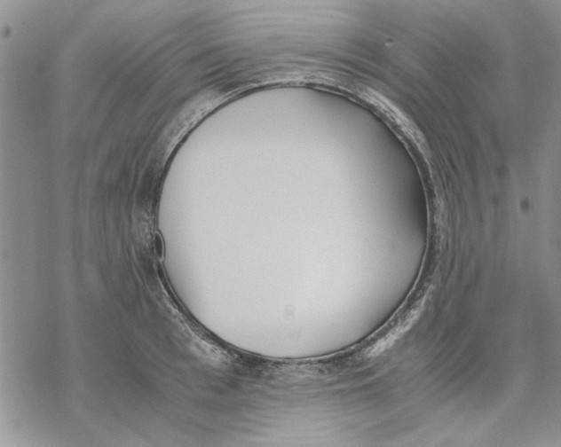 X0000069390993200606021627