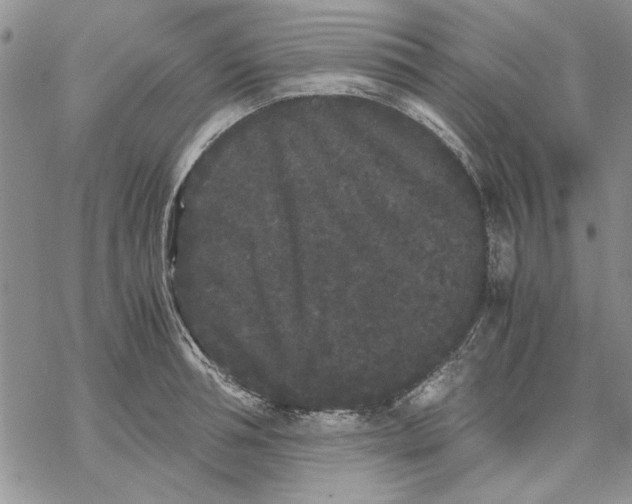 X0000069390994200606021627