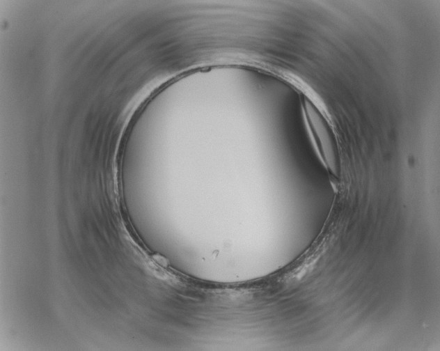 X0000069390996200606021627