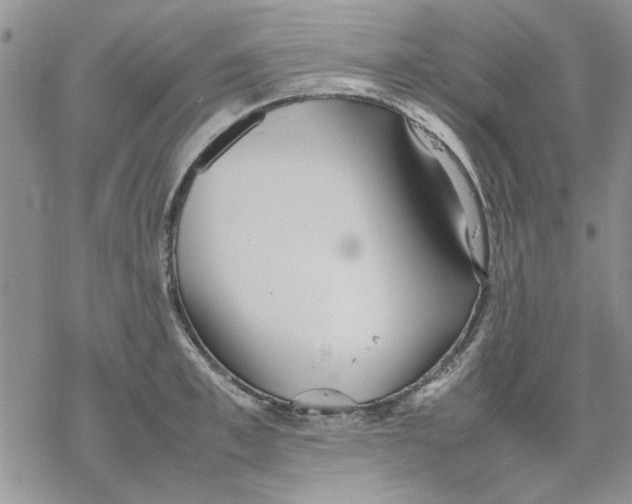 X0000069390997200606021627