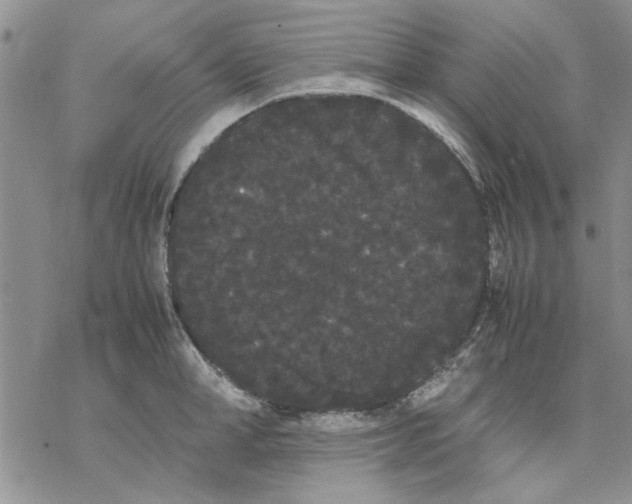 X0000069390998200606021627