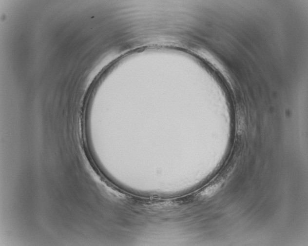 X0000069390999200606021627