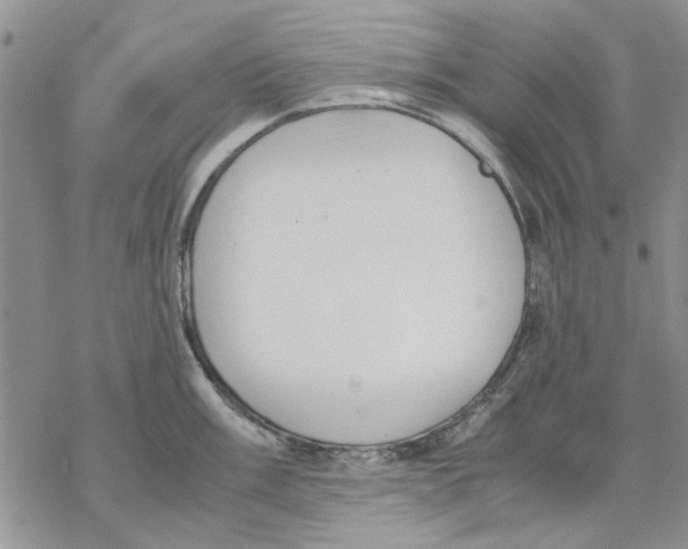 X0000069391003200606021627