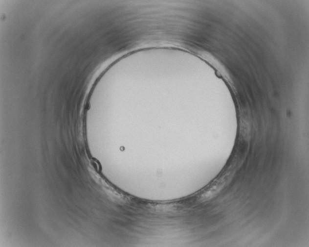 X0000069391004200606021627