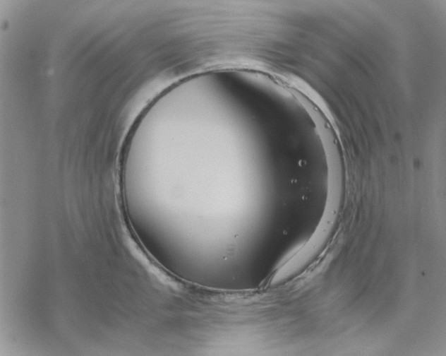 X0000069391005200606021627