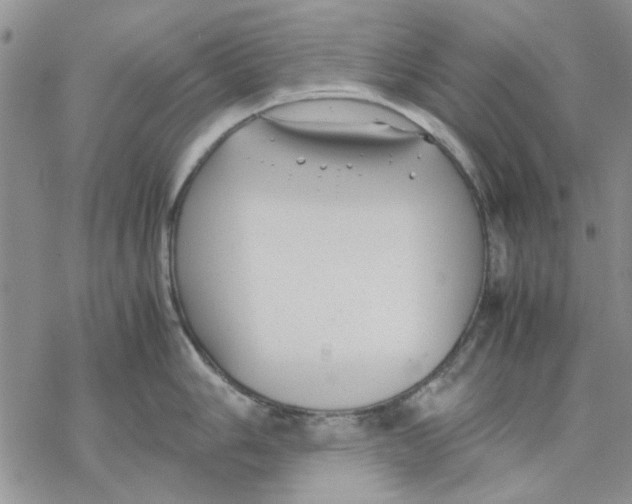 X0000069391006200606021627