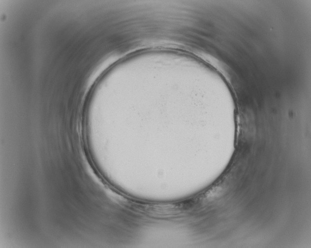 X0000069391007200606021627