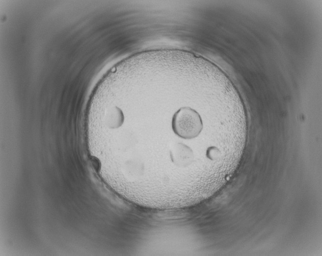 X0000069391008200606021627