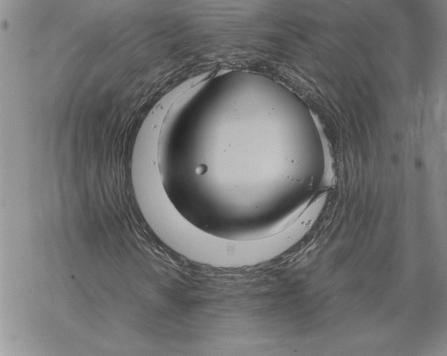 X0000069391010200606021626