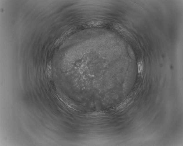 X0000069391011200606021626