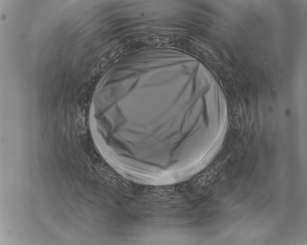 X0000069391013200606021626