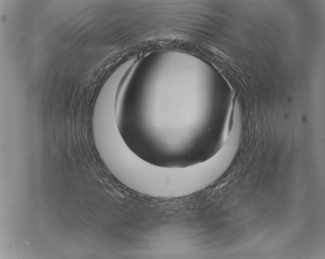 X0000069391014200606021626