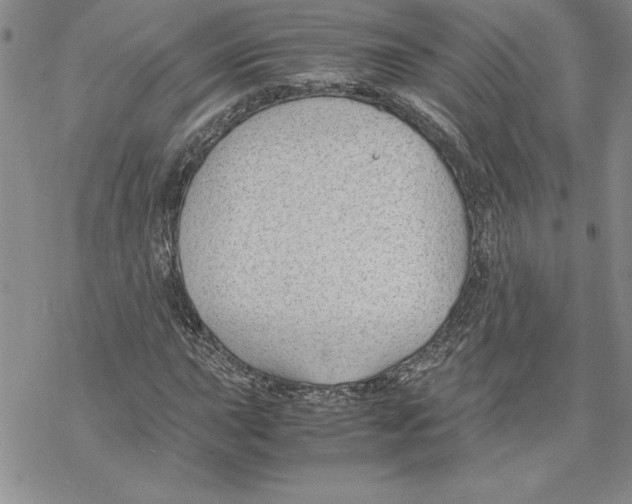 X0000069391015200606021626