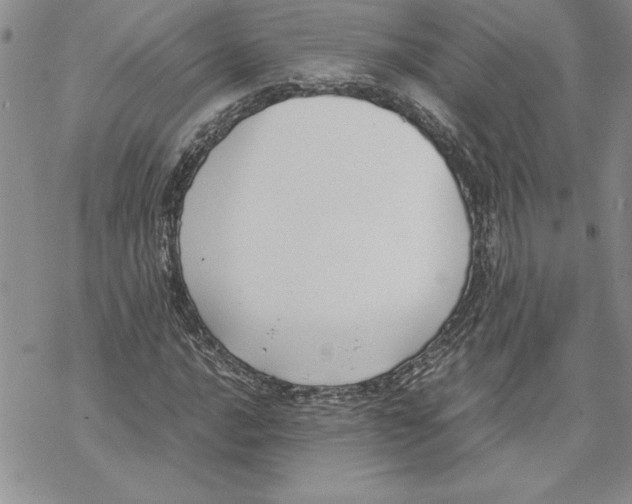 X0000069391016200606021626