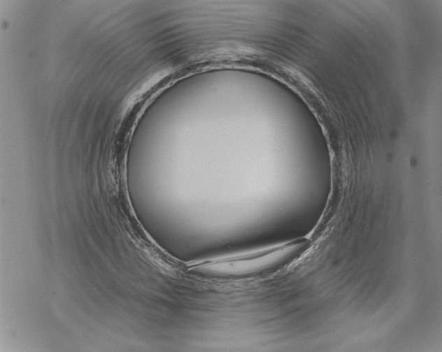 X0000069391018200606021626