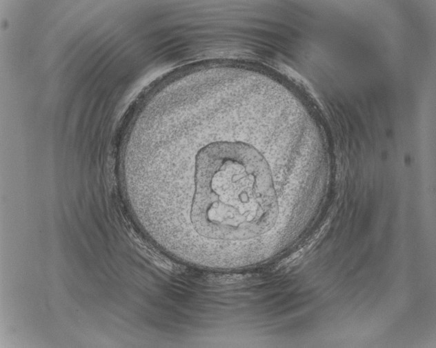 X0000069391019200606021626