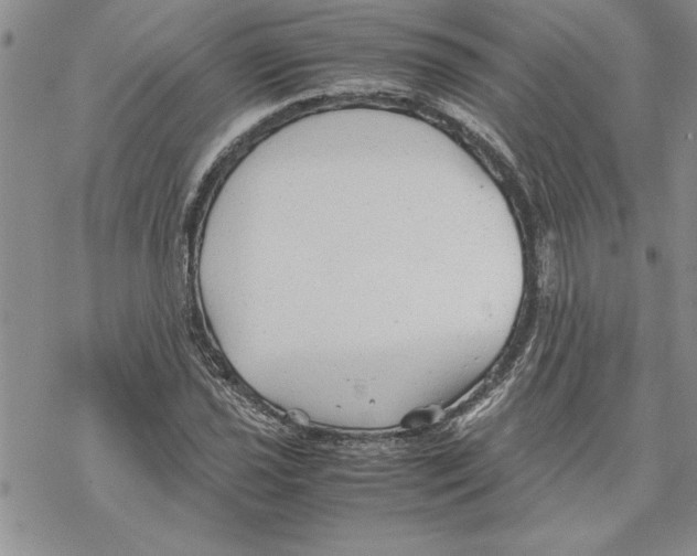 X0000069391021200606021626