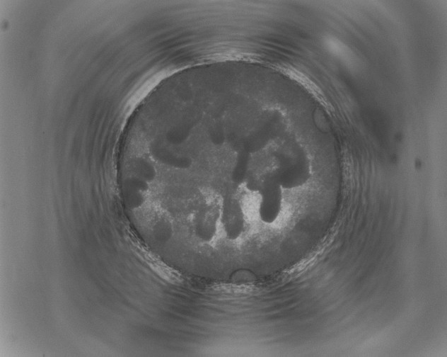 X0000069391023200606021626