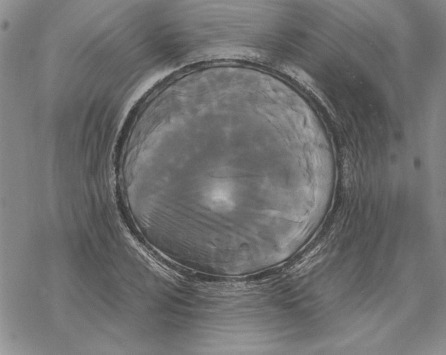 X0000069391024200606021626