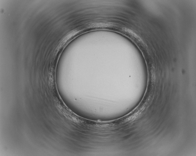 X0000069391025200606021626