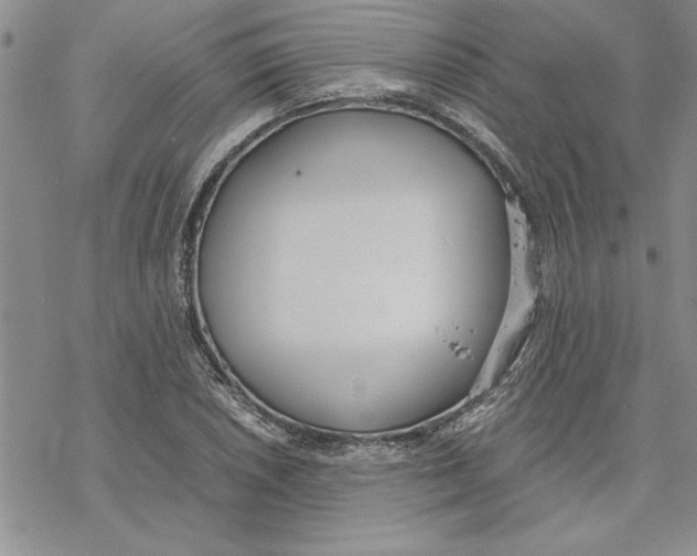 X0000069391026200606021626