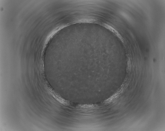 X0000069391027200606021626