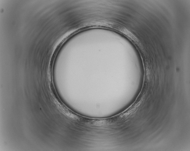 X0000069391028200606021626