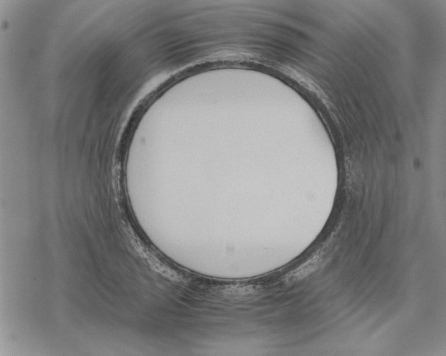 X0000069391029200606021626