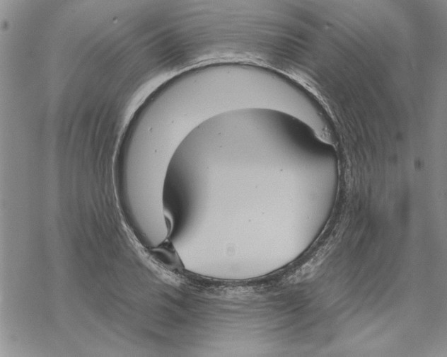 X0000069391030200606021626