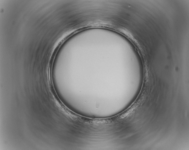 X0000069391032200606021627