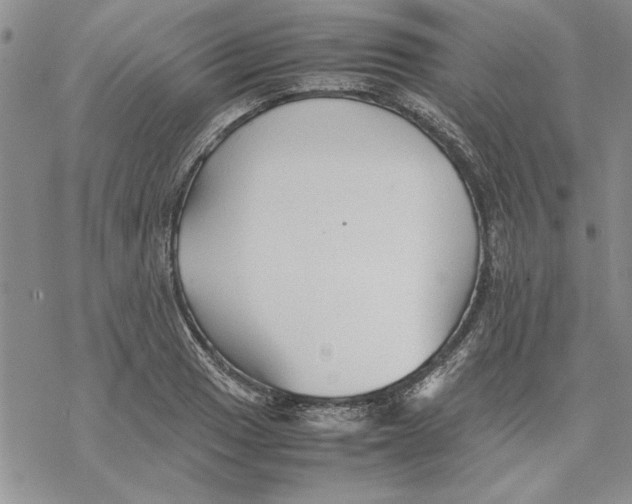 X0000069391033200606021627