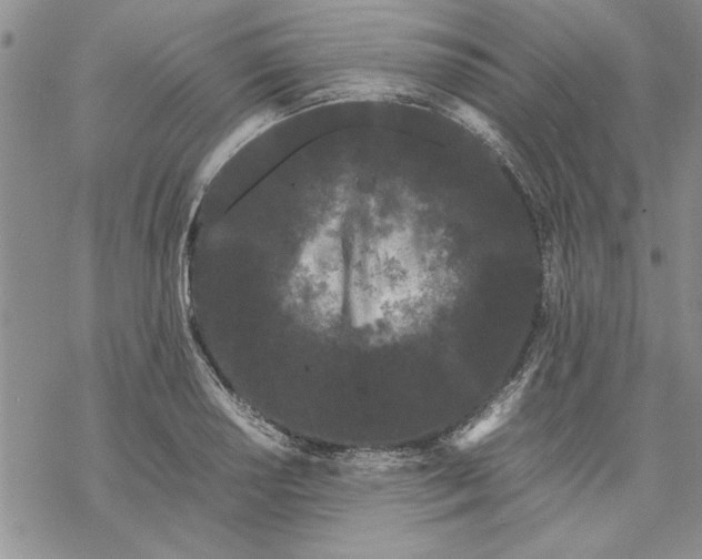 X0000069391034200606021627