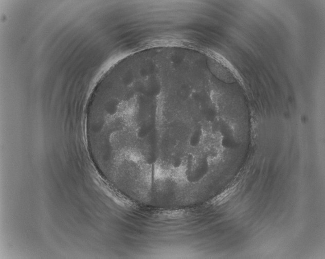 X0000069391035200606021627