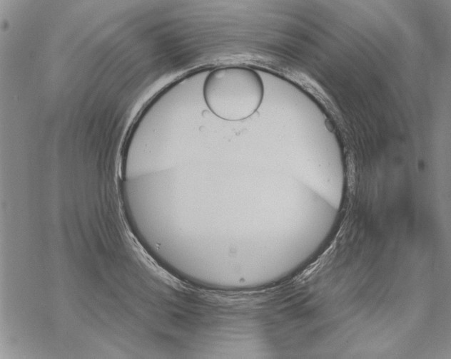 X0000069391036200606021627