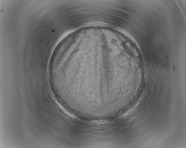 X0000069391037200606021627