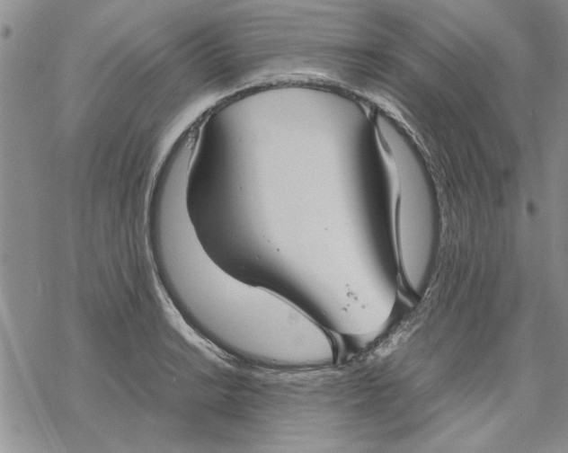 X0000069391038200606021627