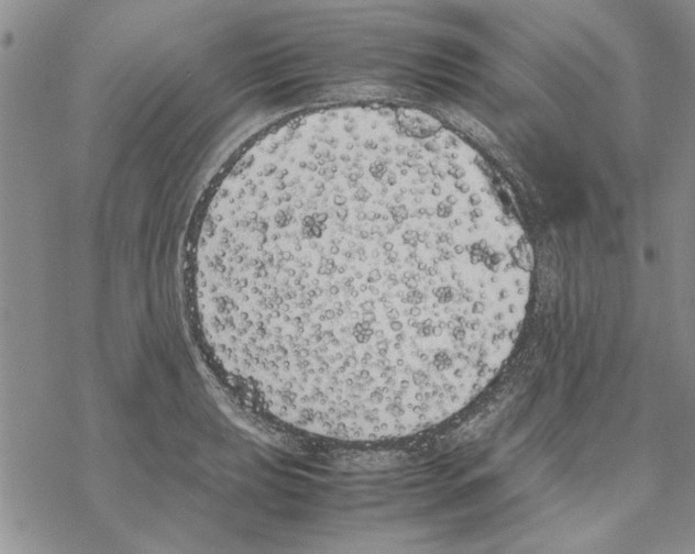 X0000069391039200606021627