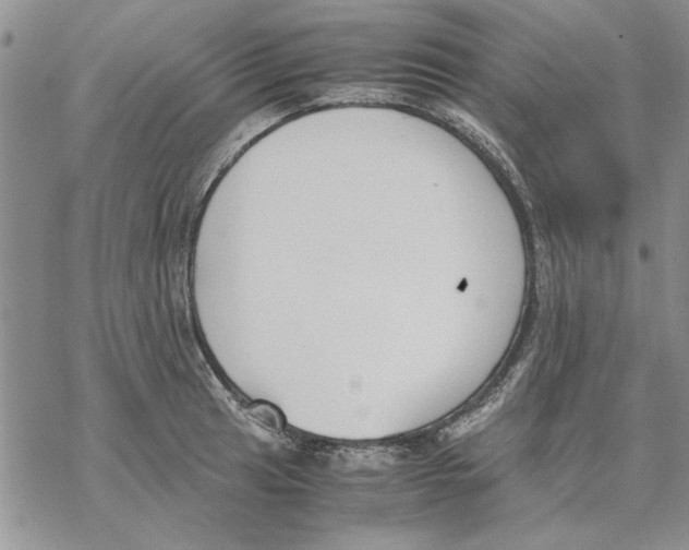 X0000069391041200606021627