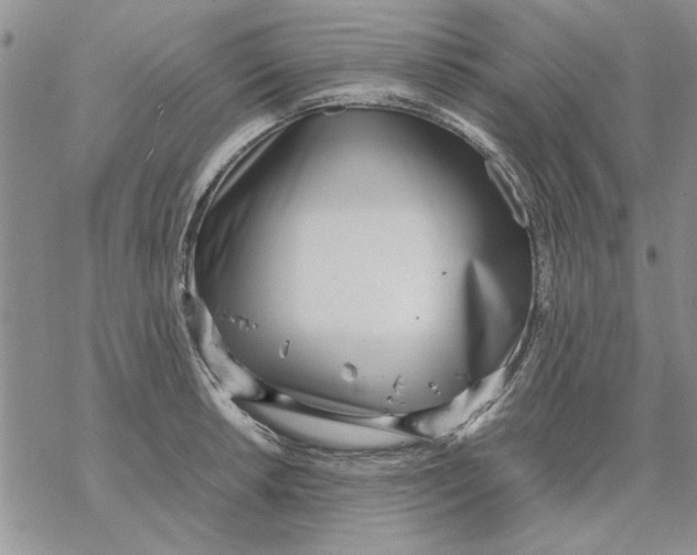 X0000069391042200606021627